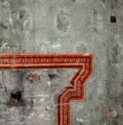Wallpaper fragments – Wollaton August 2006